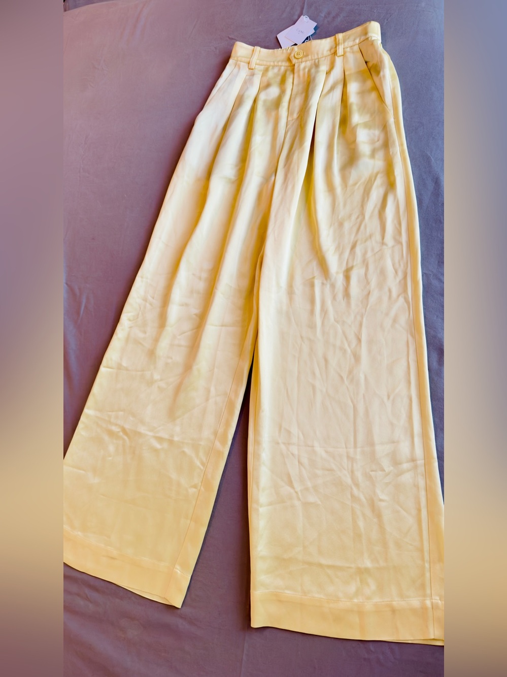 CAMI NYC Davina Sunlight Pale Yellow Wide Leg Satin Trousers Flowy & Silky Pants - Picture 6 of 16